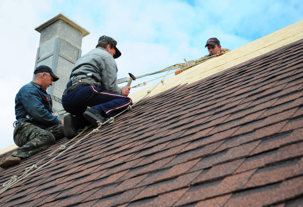 Best Roof Gutter Cleaning  in San Angelo, TX